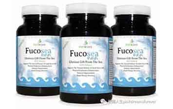 玫瑰人生：將它送給即將畢業的你。