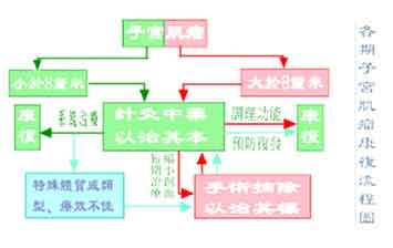 許德立醫師：各期子宮肌瘤方案選擇