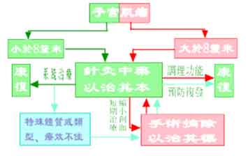 許德立醫師：各期子宮肌瘤方案選擇