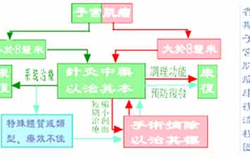 許德立醫師：各期子宮肌瘤方案選擇