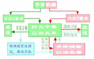 許德立醫師：各期子宮肌瘤方案選擇