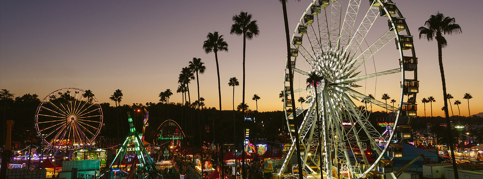 洛杉矶本周末好去处 龙虾节唱片节啤酒节等等......