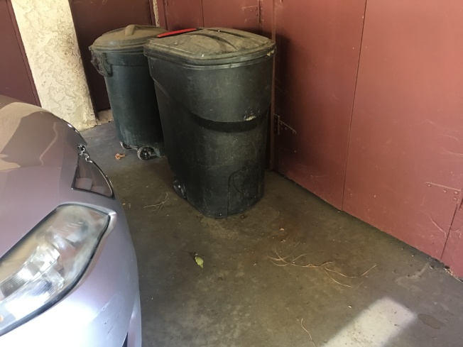 洛杉矶游民四处闯荡跑家来了 华人心惊胆跳