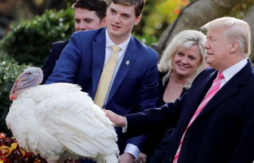 川普首度赦免火鸡：这是大鸟！我对自己感觉很好