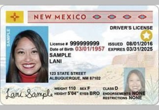 加州本月开始发出新驾照 新形象新程序不可不知