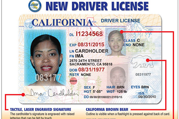 加州新驾照今天开始申请 没社安号没法申请