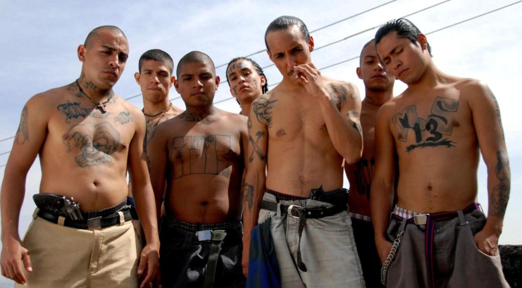 加州州长特赦多名犯罪非法移民，为何要做出这种选择？