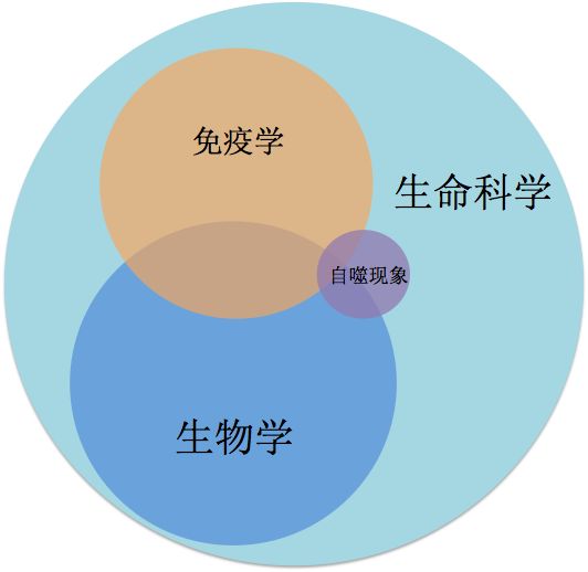 生命奥秘：细胞自噬或许开启延年益寿大门