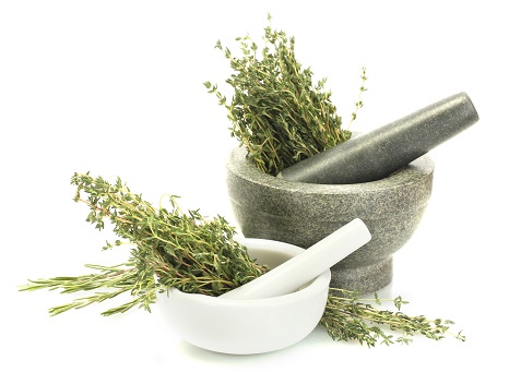 国际着名中医肿瘤专家王淑霞博士