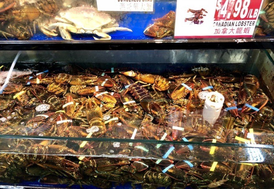 龙虾转内销降价 美国超市、餐厅大卖