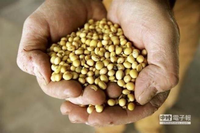 大陆不买大豆急坏美国农民 急找盟友帮忙销货