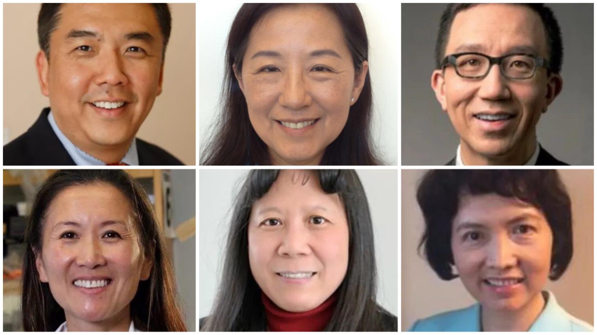 七名华人学者当选美国国家医学院院士