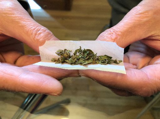 加拿大以举国之力 成为大麻合法���实验地