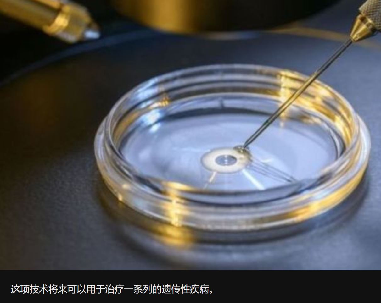 基因改造婴儿：中国科学家“创新”引爆伦理争议