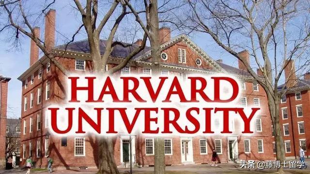 采访近千名哈佛家长，孩子能上哈佛是因为这些原因！