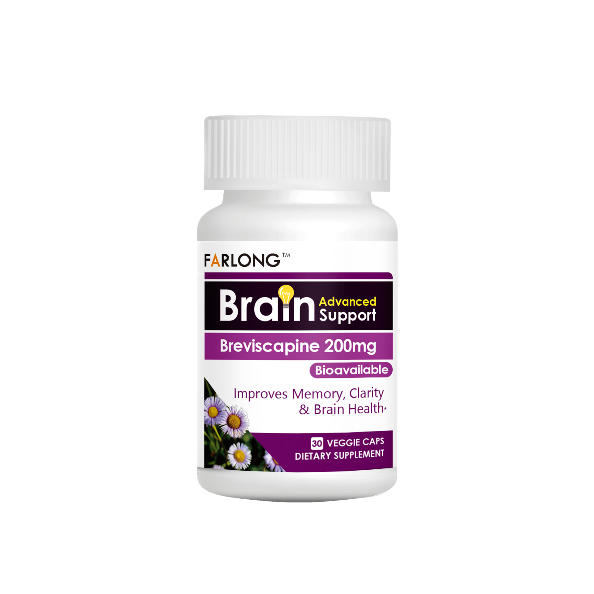 Brain Advanced Support