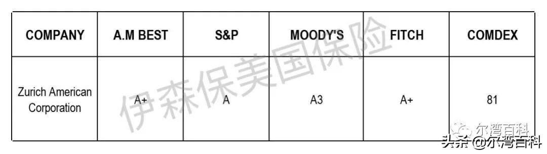 【美国保险】盘点2019八大可卖给外国人的美国人寿保险公司（下）