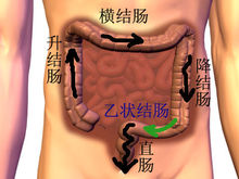 【醫療】什麽是肠道水疗？水立方大腸水療中心  