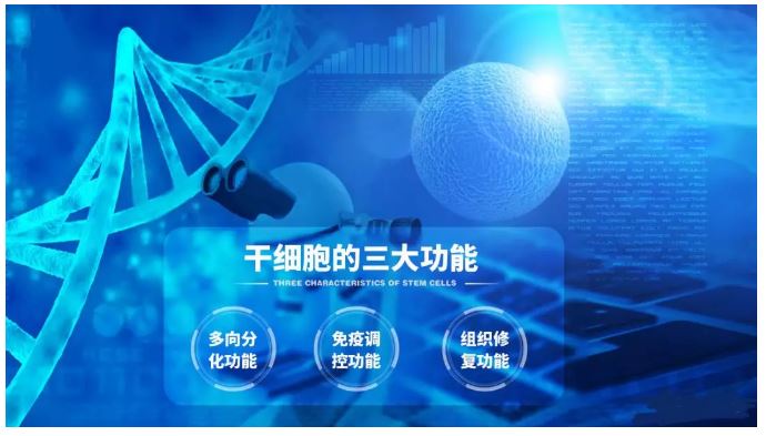 【再生医学研究】干细胞移植治疗卵巢早衰临床研究进展 | 洋格儿医学美容中心