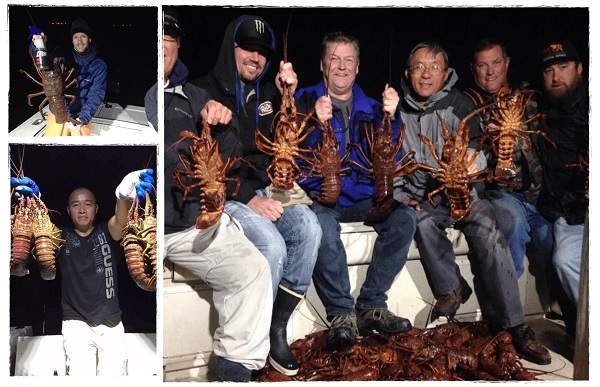 【旅游】11月-12月龙虾之旅 保证人人可以捕到龙虾！ | 美國發現之旅