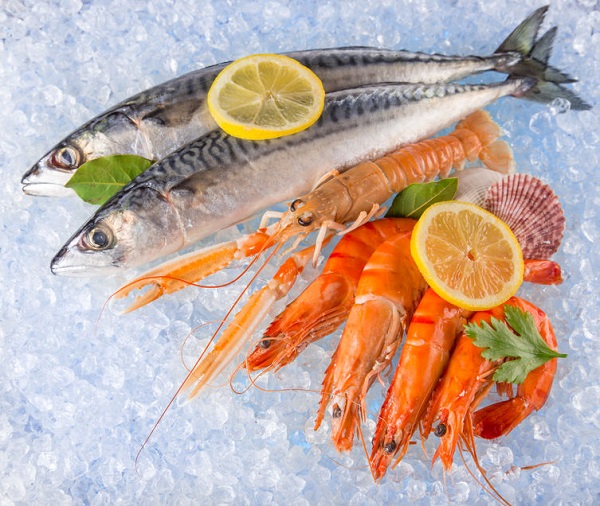 【旅游】出海钓鱼11月30星期六 | 吃最新鲜的刺身 & 保证钓到大鱼&包鱼竿!报名电话 808-517-8888