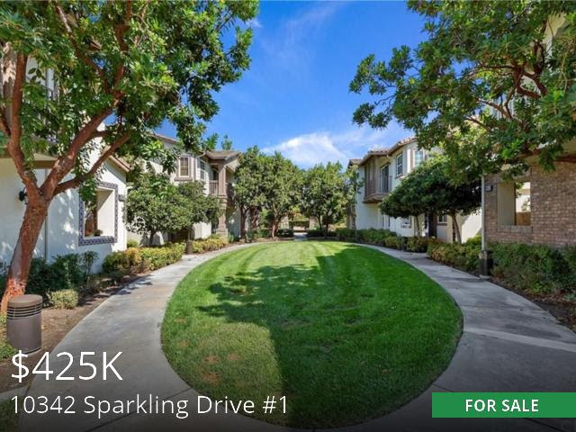 10342 Sparkling Drive #1