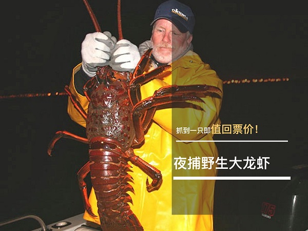 五斤重大龙虾免费带回家-美国西海岸10天深度游| 洛杉矶&旧金山&圣地亚哥&全景游览  | 美國發現之旅