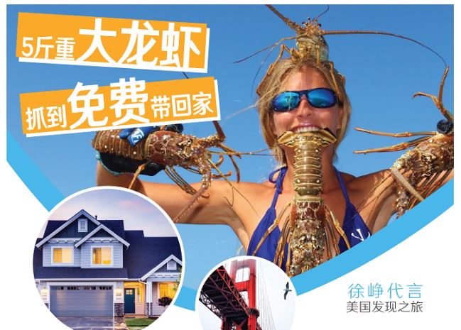 【旅游】美国西海岸10天深度游 洛杉矶&旧金山&圣地亚哥&全景游览 | 美國發現之旅