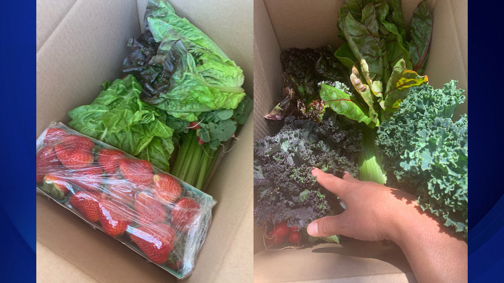 洛杉矶南部分发1000份免费蔬果箱，解决社区食品缺乏问题