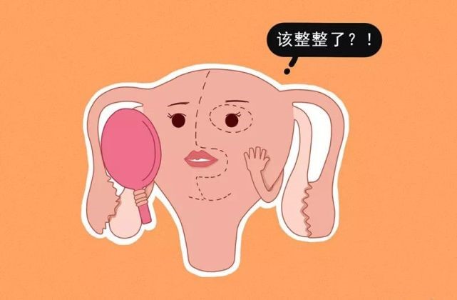 【代孕】子宫畸形能怀孕吗？要做试管吗？| 愛心樹代孕中心