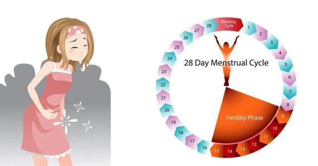 【代孕】怎么知道自己的月经到底是多是少？ | 爱心树代孕中心