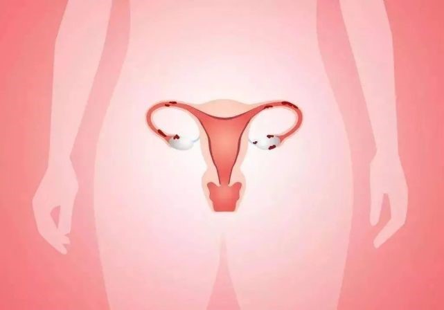 【代孕】女性绝经后还可以做试管婴儿吗？ | 爱心树代孕中心