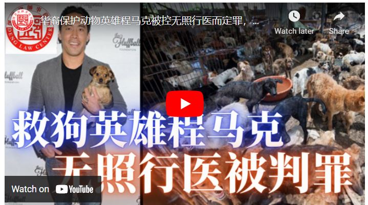 【鄧洪説法】华裔保护动物英雄程马克被控无照行医而定罪，是英雄或是骗子？