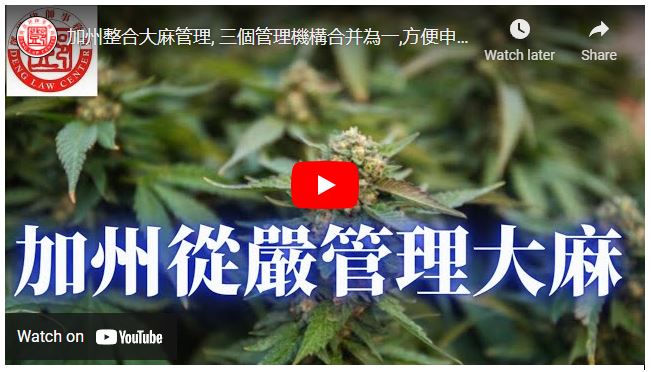 【鄧洪説法】加州整合大麻管理, 三個管理機構合并為一,方便申請大麻執照, 便利民眾舉報非法大麻屋