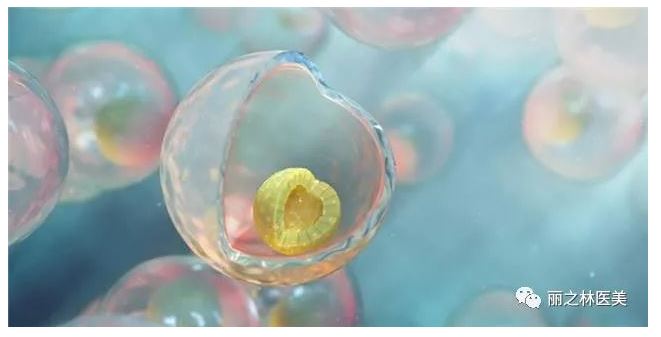 【醫美】正常人体内已经有干细胞，为什么还要外源性补充干细胞？| 麗之林醫學美容中心