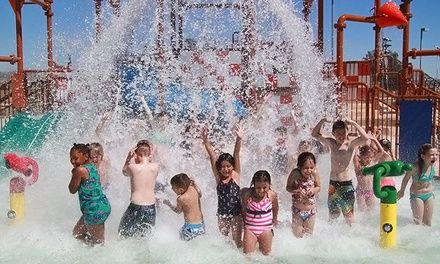 Drop zone water park Perris - Temecula Qponer ~ Blogs! | Drop zone, Water park, Fun summer activities