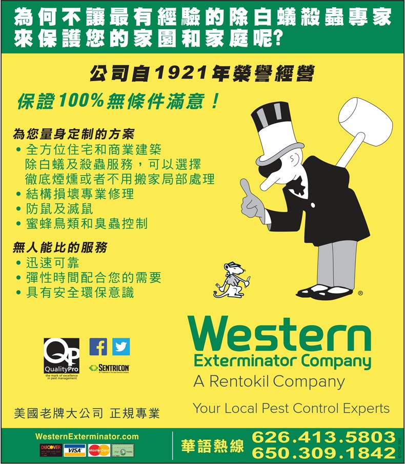 夏季了，你家是否该做白蚁检查了？ ！威士盾白蚁公司