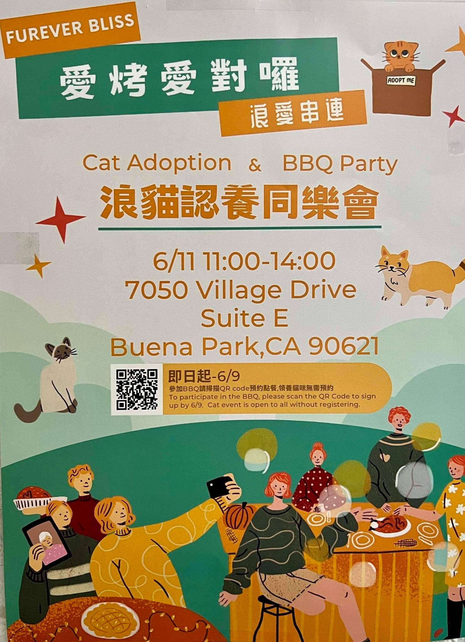 浪貓認養同樂會 Cat Adoption & BBQ event this coming Sunday! | 柔似密動物醫院─劉醫師