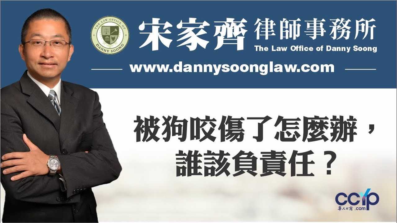 【法律】被狗咬傷了怎麼辦，誰該負責任？| 美国法律 |  宋家齊律師  Danny Soong