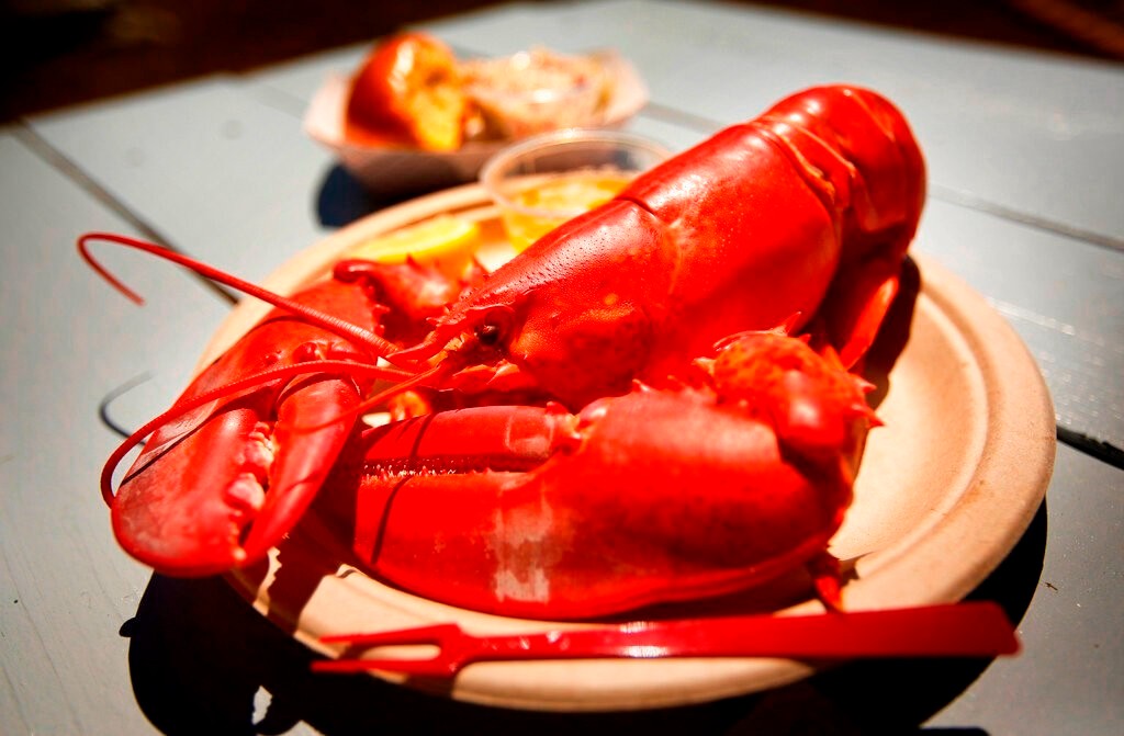 关了近百家店 美国最大海鲜连锁餐厅Red Lobster申请破产