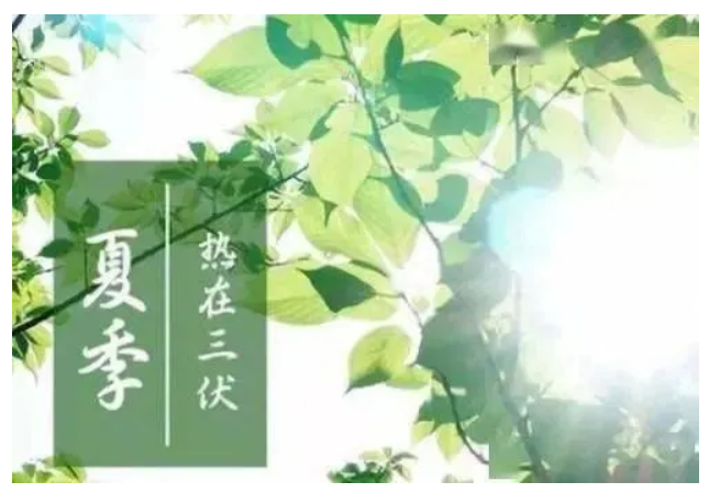 【養生】三伏天来啦！特别容易中暑、肠胃不适、关节疼痛，罹患心血管隐疾......照顾好自己！ | 美国贝佳天然药业