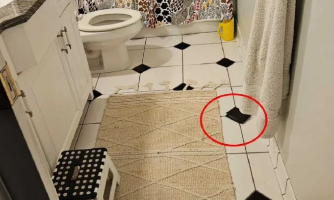 【失蹤錢包】美國屋主苦尋錢包2天 竟掉在「這處」！一票人驚：我可能永遠找不到