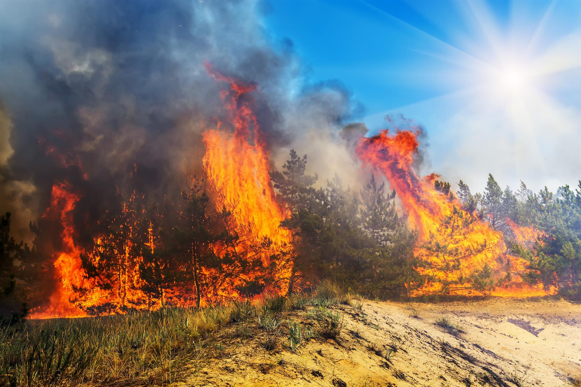 【野火肆虐】野火肆虐美國大峽谷 近百年歷史小屋遭火吞噬