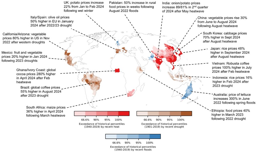 【極端氣候】研究：極端氣候推升全球糧價 恐釀社會動盪