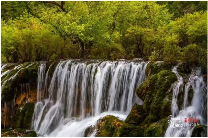 【旅游】镜头下的九寨沟时光（下）：如梦之境，清澈宁静 | 美国贝佳天然药业