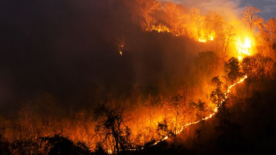 【法律】谁需要为加州野火负责？ 公用事业公司、土地所有人与政府责任全解读 | 貝克律師事務所