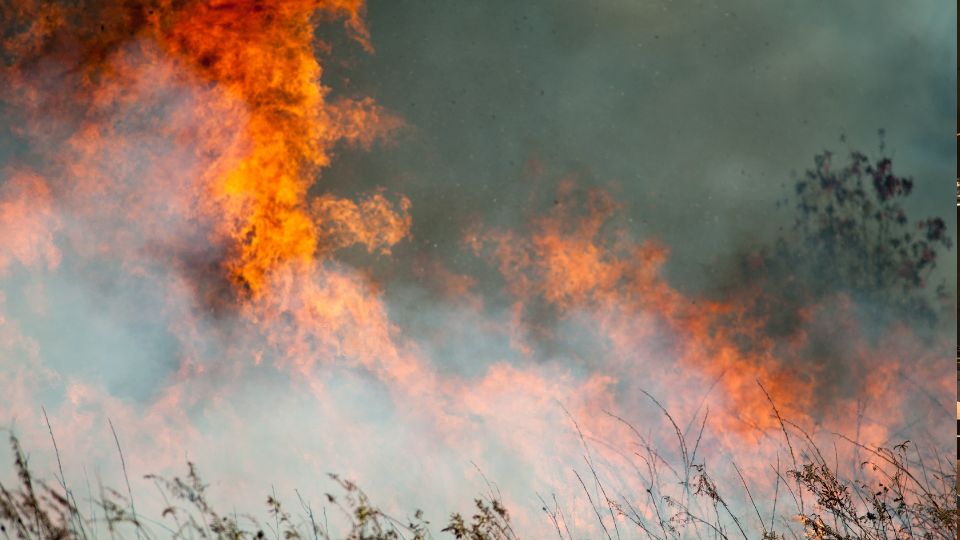 【法律】After the Flames: Your Legal Rights and Recovery Options as a Wildfire Victim in California | BECKER LAW GROUP