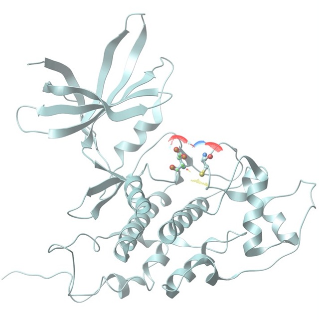 【預防阿茲海默】屁味可能對大腦有益？受控硫化氫濃度預防阿茲海默症病徵
