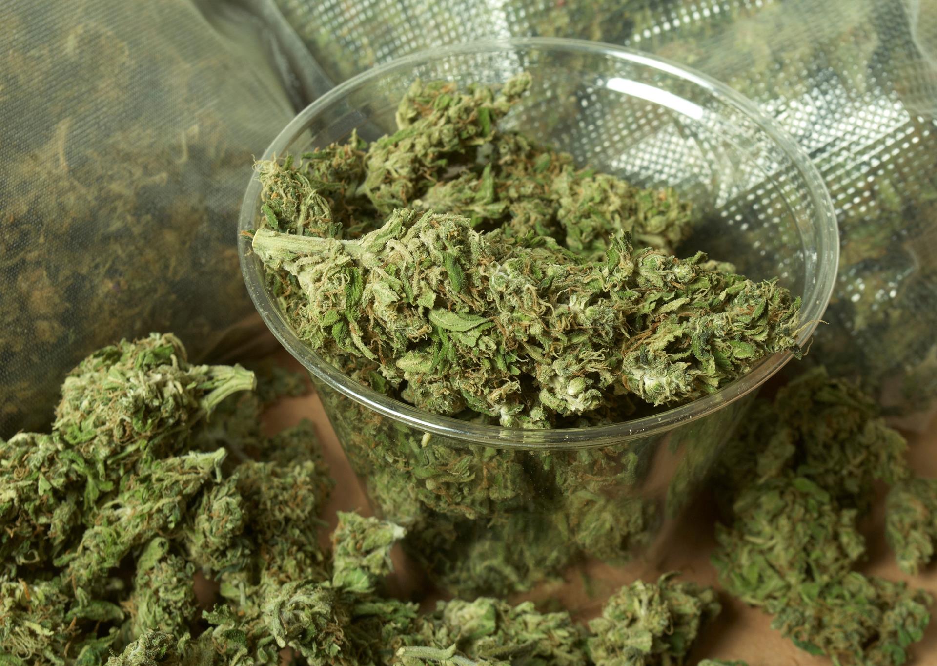 【重分类大麻】川普拟签行政命令重分类大麻 美国概念股狂飙