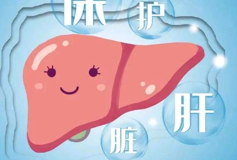 【養生】脂肪肝真的会恶变吗？不必慌！教你正确判断风险并逆转它 | 美国贝佳天然药业